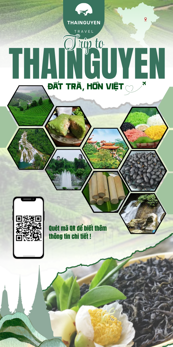 Đất Trà, Hồn Việt newpro