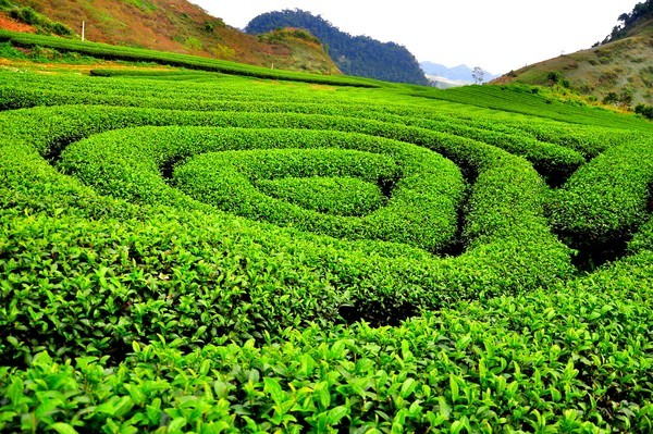 423686790_313155988425740_8578895409098402284_n